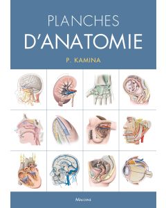 Planches d'anatomie humaine. 31 planches. Reliure à spirale, 3e éd.
